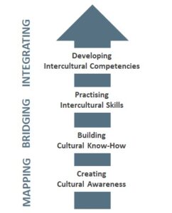 cultural competence development